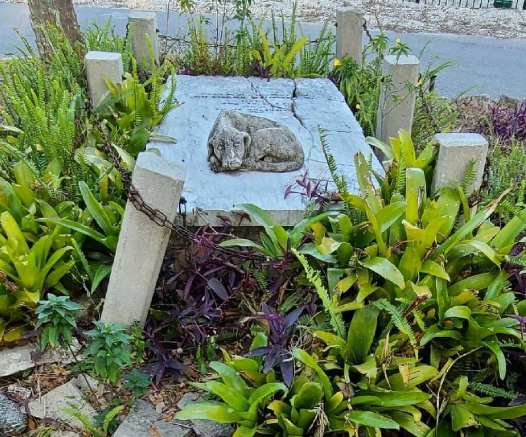 A grave in the middle of the street on Canova Drive