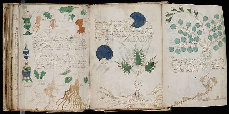 An image shows the elaborate designs within the Voynich Manuscript