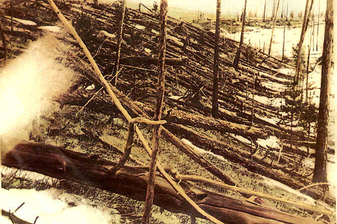 Scorched trees left by the Tunguska Event