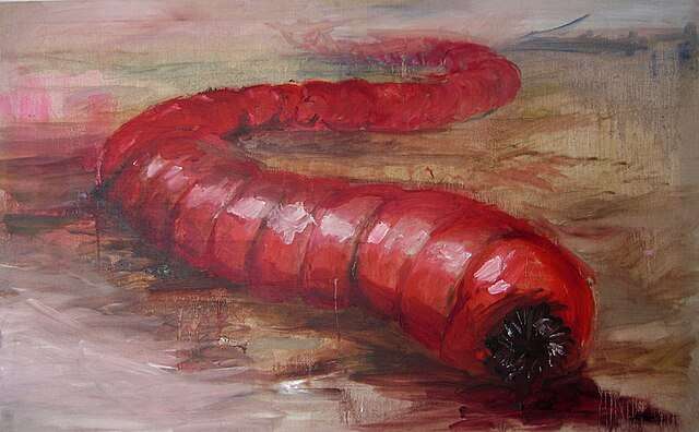 An artists depiction of the Mongolian Death Worm